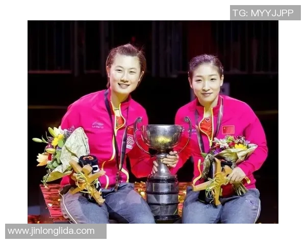丁宁与刘诗雯巅峰对决乒乓球赛场上的女王之争与荣耀之路